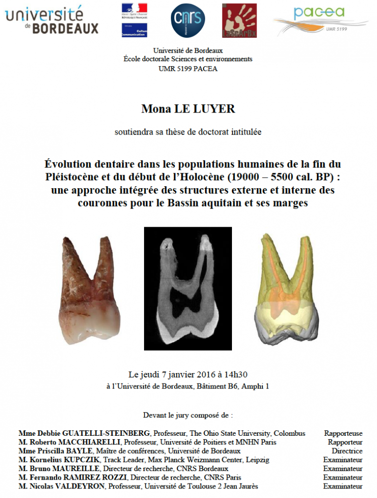 Soutenance de thèse de Mona Le Luyer (PACEA) le 7 janvier 2016