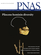 Analyses morphométriques d'ossements de nouveaux-nés néandertaliens