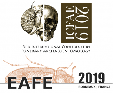 16ème colloque international de l’EAFE / 3ème colloque international de l’ICFAE, 5-8 juin 2019
