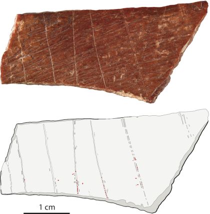 Photo et tracé d’une gravure trouvée à Lingjing (province du Henan, Chine), dans une couche datée à 115 000 ans (les points rouges indiquent la présence de résidus d’ocre). Photo : Francesco d’Errico & Luc Doyon