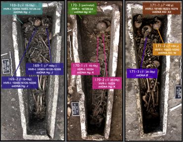 Ancient DNA and kinship analysis of human remains deposited in Merovingian necropolis sarcophagi (Jau Dignac et Loirac, France, 7the8th century AD), janvier 2014
