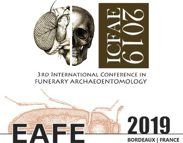 16ème colloque international de l’EAFE / 3ème colloque international de l’ICFAE, 5-8 juin 2019