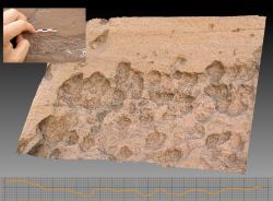 Modélisation tridimensionnelle des marques de piquetage d’un pétroglyphe protohistorique caractéristiques d’un outil métallique, site de Shalobolino, province de Krasnoïarsk, Russie (H. Plisson©CNRS)